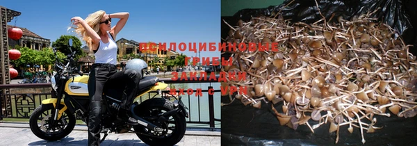 дмт Баксан