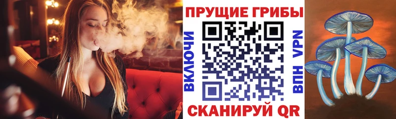 Галлюциногенные грибы прущие грибы это какой сайт Волчанск